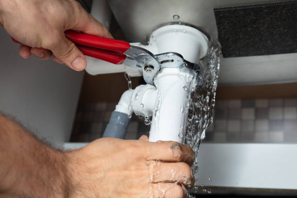 Best Ceiling water damage repair  in Santee, SC