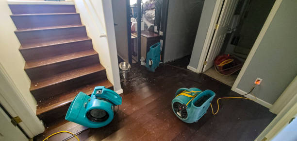Best Basement water damage restoration  in Santee, SC